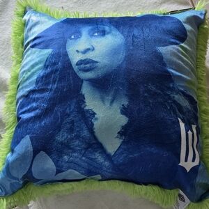 Elphaba Wicked Pillow 18 X 18 Bnwt
